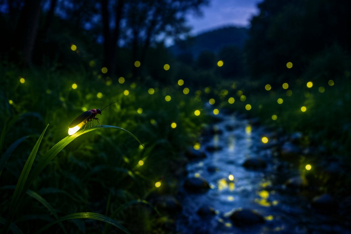 Parkdeesoe 🍀🌟💫 tweet media