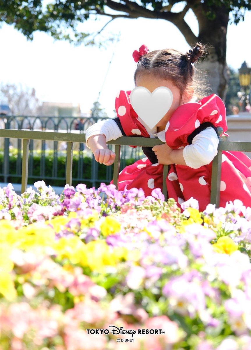 moe_1108's tweet photo. 入園前に母子ディズニーへ👧🏻🏰✨

全てが愛おしくて幸せな時間😢♡

幼稚園入園したら
こんな時間はなかなか作れなくなるな〜と
思うと寂しくなるけど
気晴らししたい時はママ付き合うからね〜
どこか楽しい所行こうね〜💃💃💃 https://t.co/ri8NUUAlgV