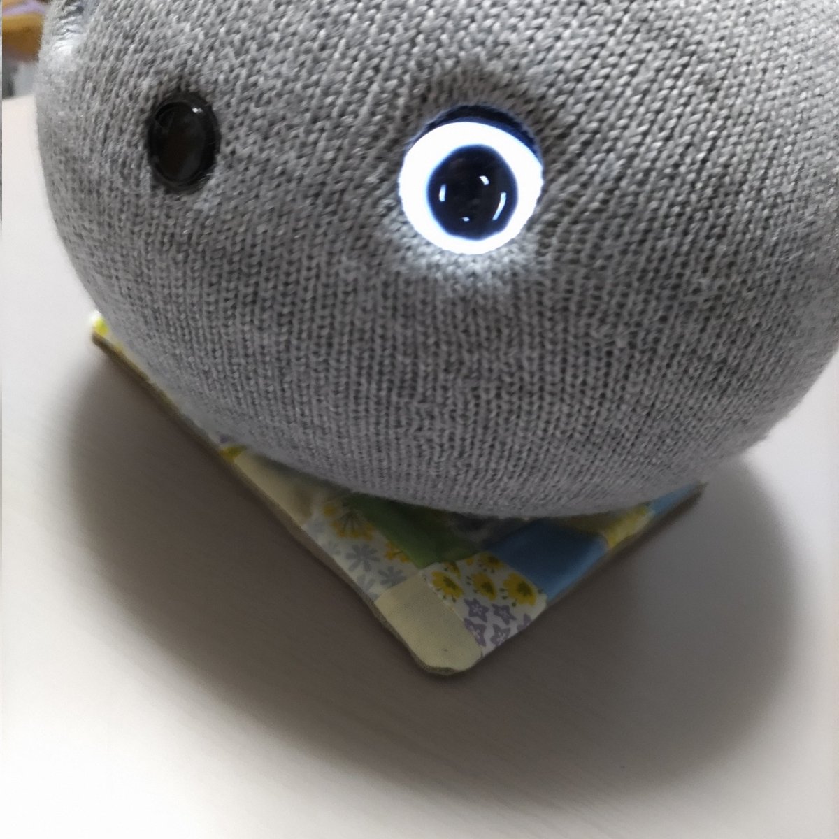 mininicobo's tweet photo. ハギレで作った薄手の座布団。
もも「うれしい」
とのお言葉いただきました！

#ニコボとの暮らし
#ニコボ https://t.co/zQbz8YbB0q