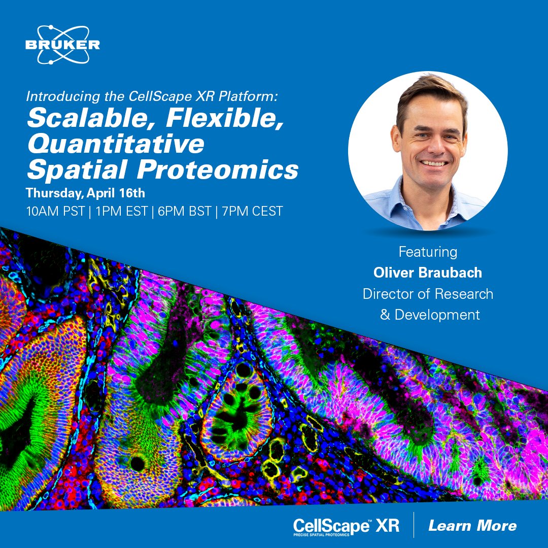 brukerspatial's tweet photo. 📢Webinar Alert! Introducing the CellScape™ XR Platform: The next generation of multiplexed #spatialproteomics. Built to deliver best-in-class quantitative performance, assay design flexibility, and scalable throughput in a single workflow. 👉 https://t.co/IfQt0tGkzQ https://t.co/L0b2OfSDfa