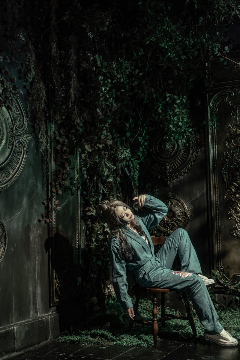 おまめ🐥 tweet media