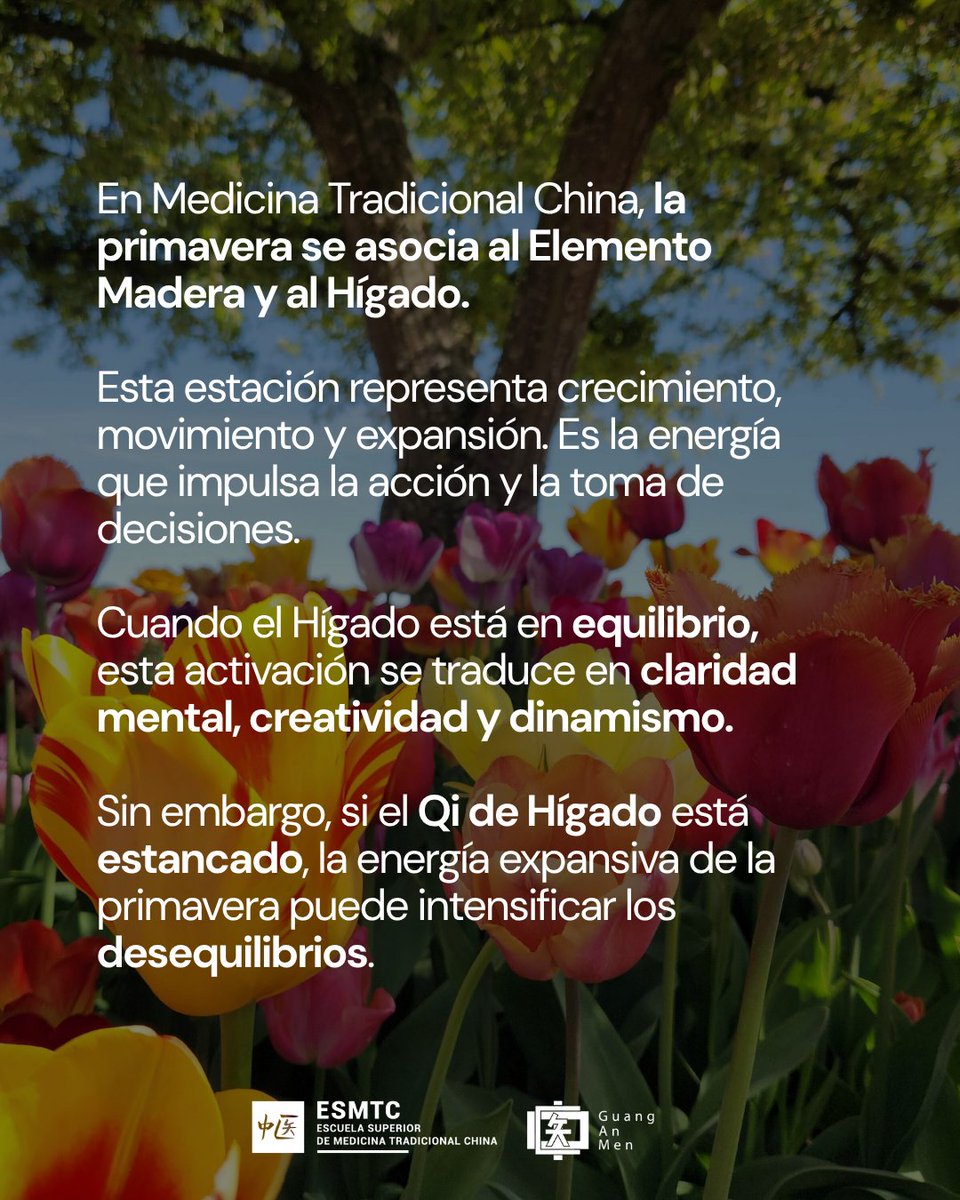 Escuela de MTC tweet media