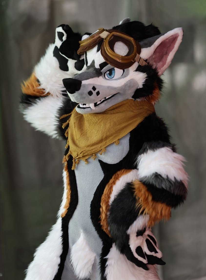 Gyro0709's tweet photo. 準備完了…っと
#FursuitFriday https://t.co/v3sqNj8Izp