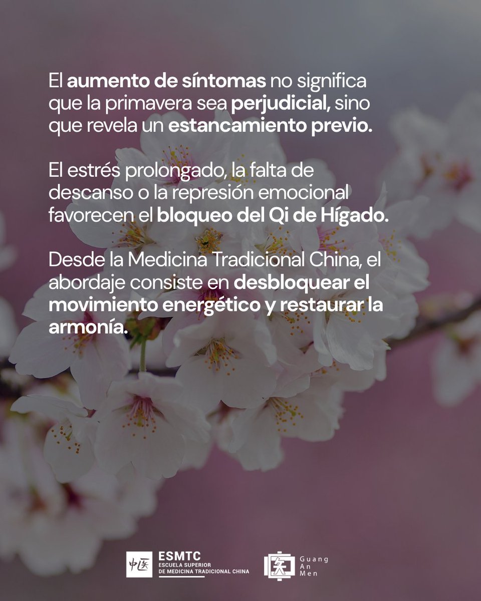 Escuela de MTC tweet media