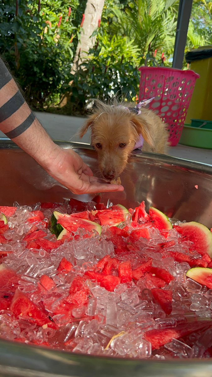 Niall Harbison tweet media