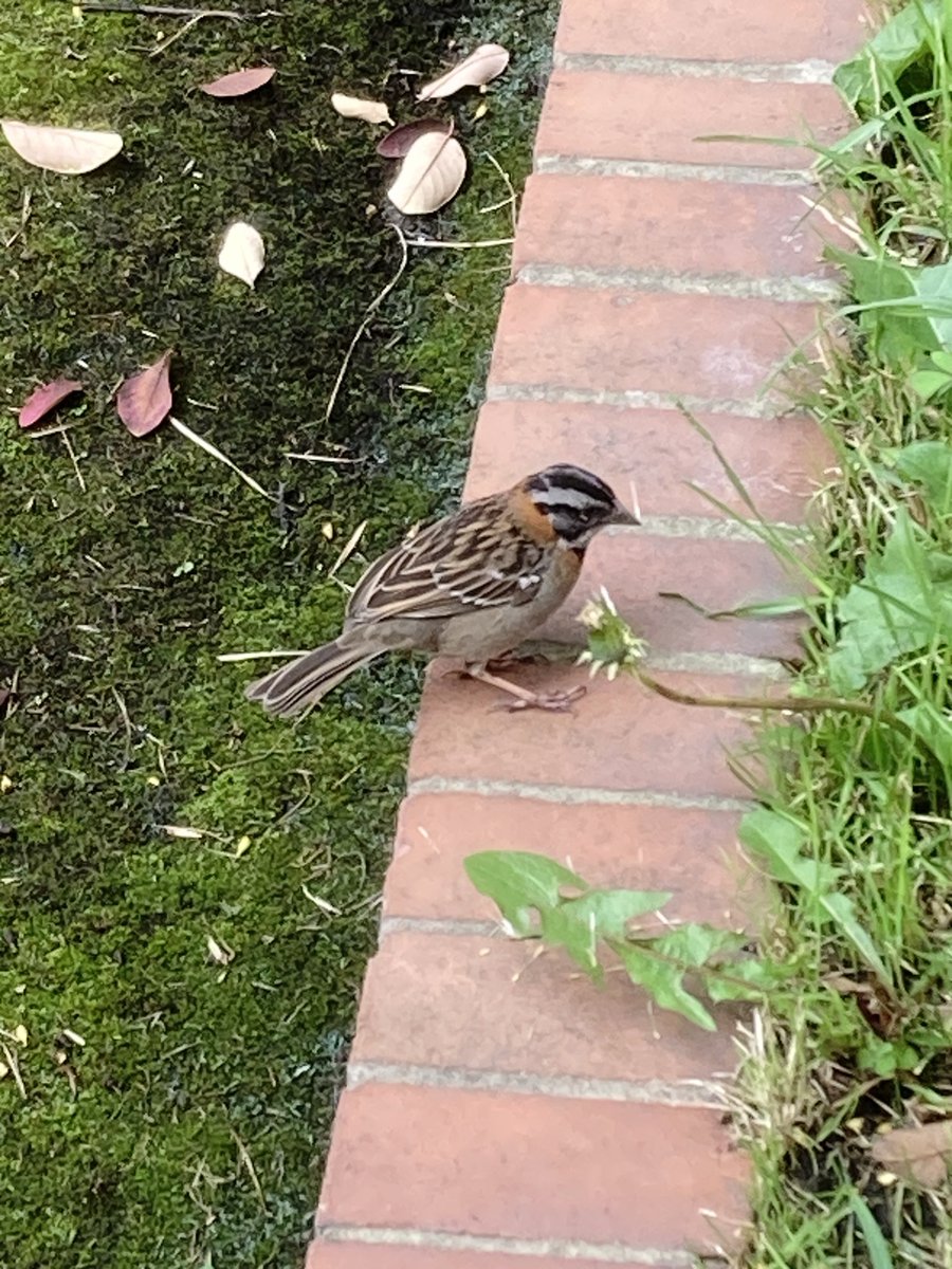 AdRi ♡ tweet media