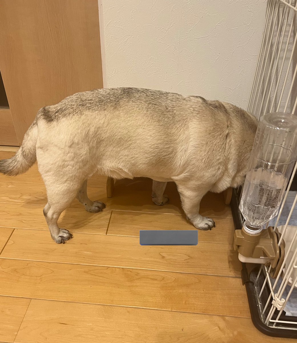 なんか探し物ですか