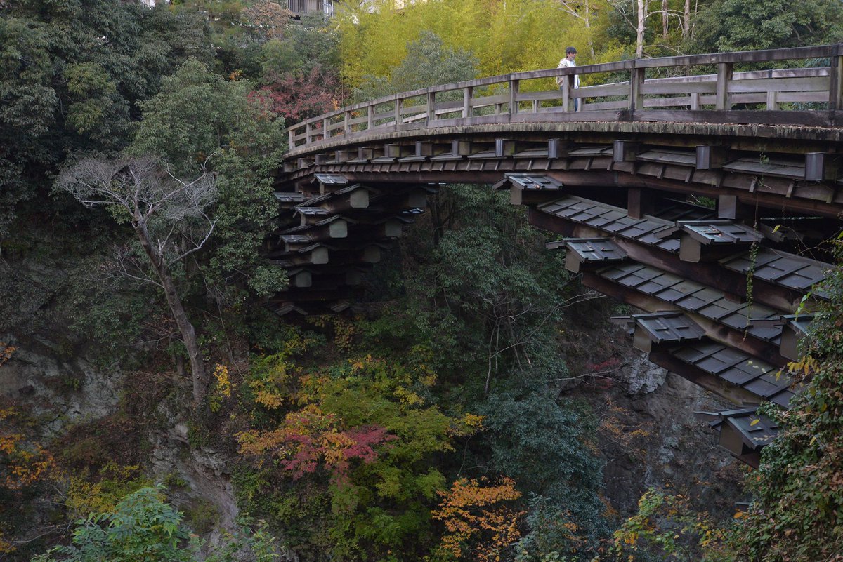 おおつきCosplay tweet media