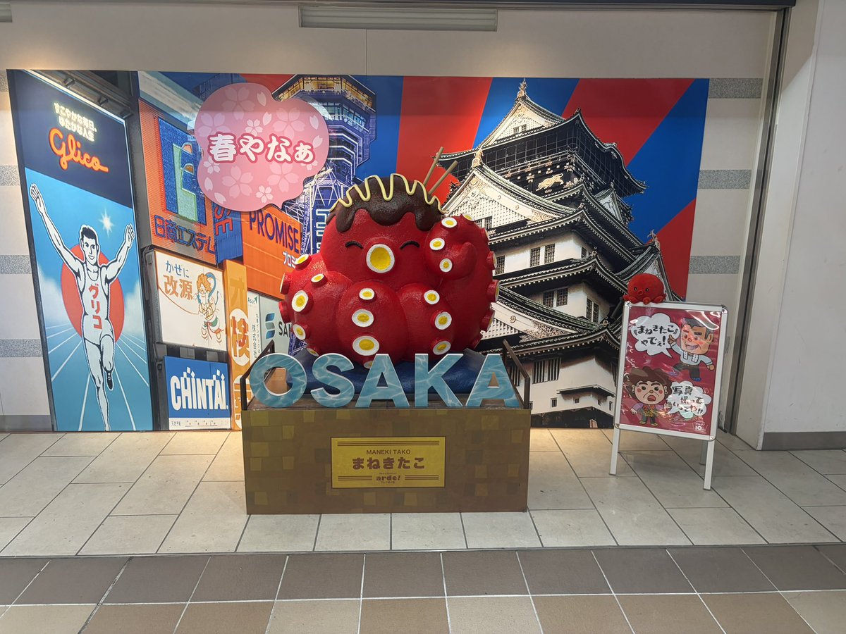 teamクマタカchannel tweet media