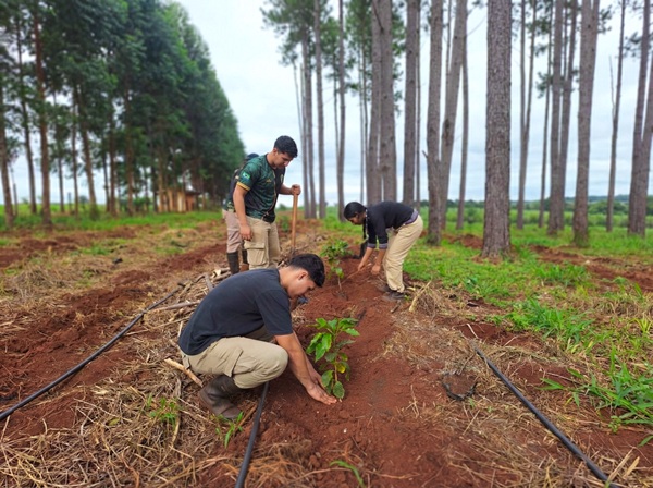 ENFOQUE Misiones tweet media