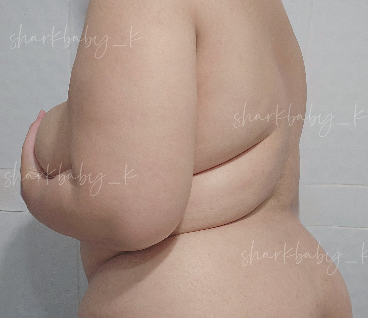 SHARK 🦈 tweet media