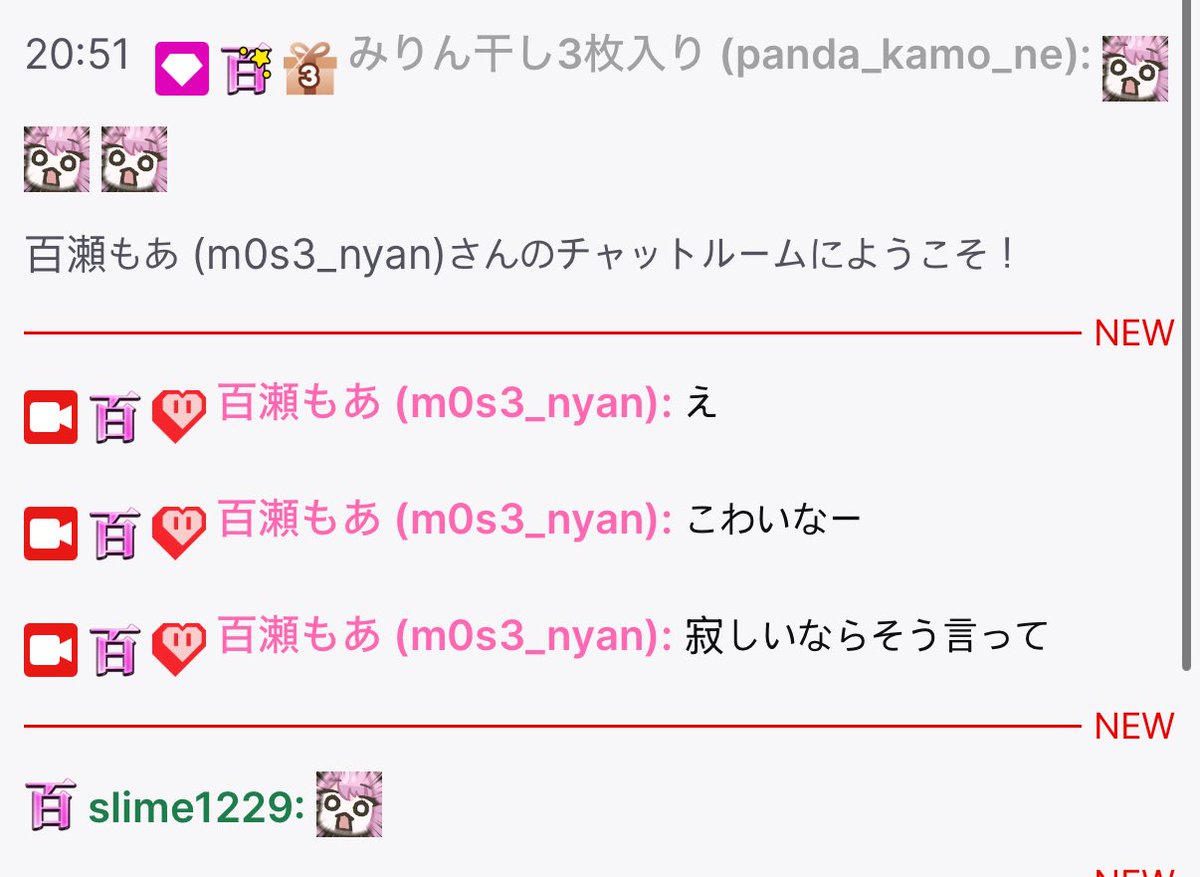 ねこたぺる tweet media