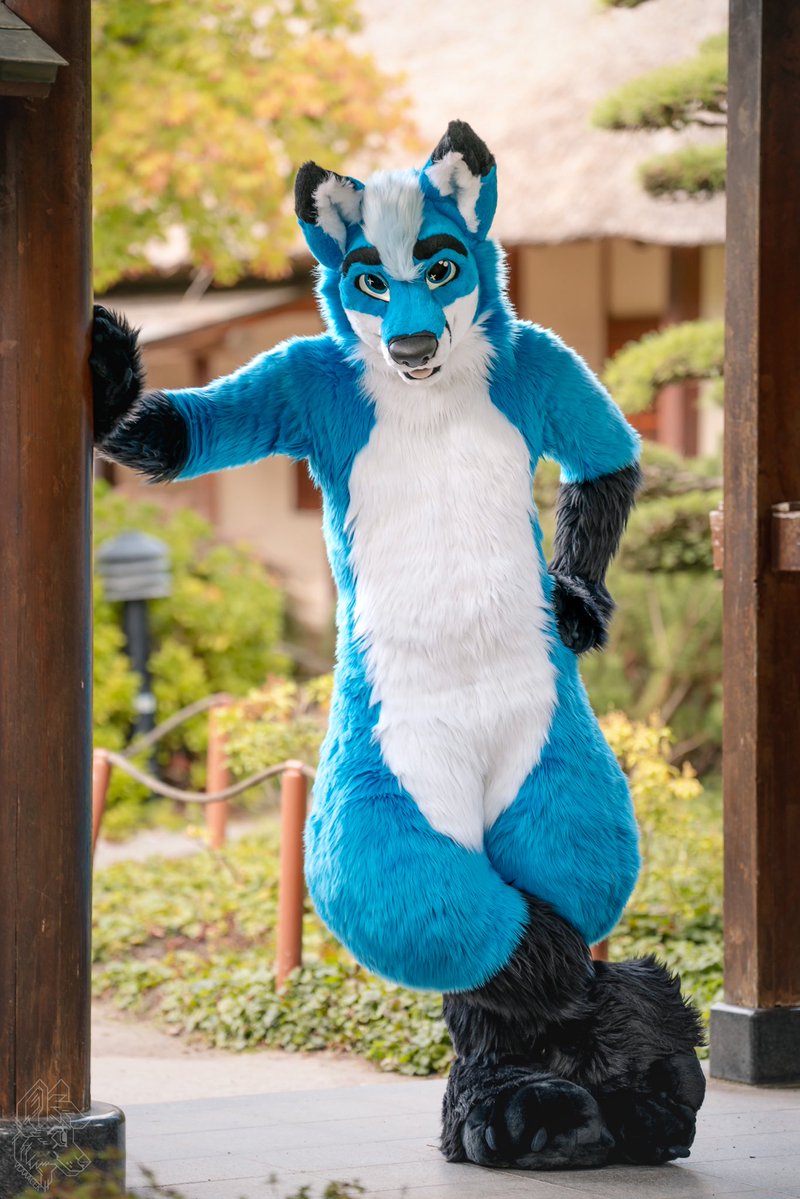 Curaçao🔜FZ🇮🇹🔜AWOO🇦🇹 tweet media