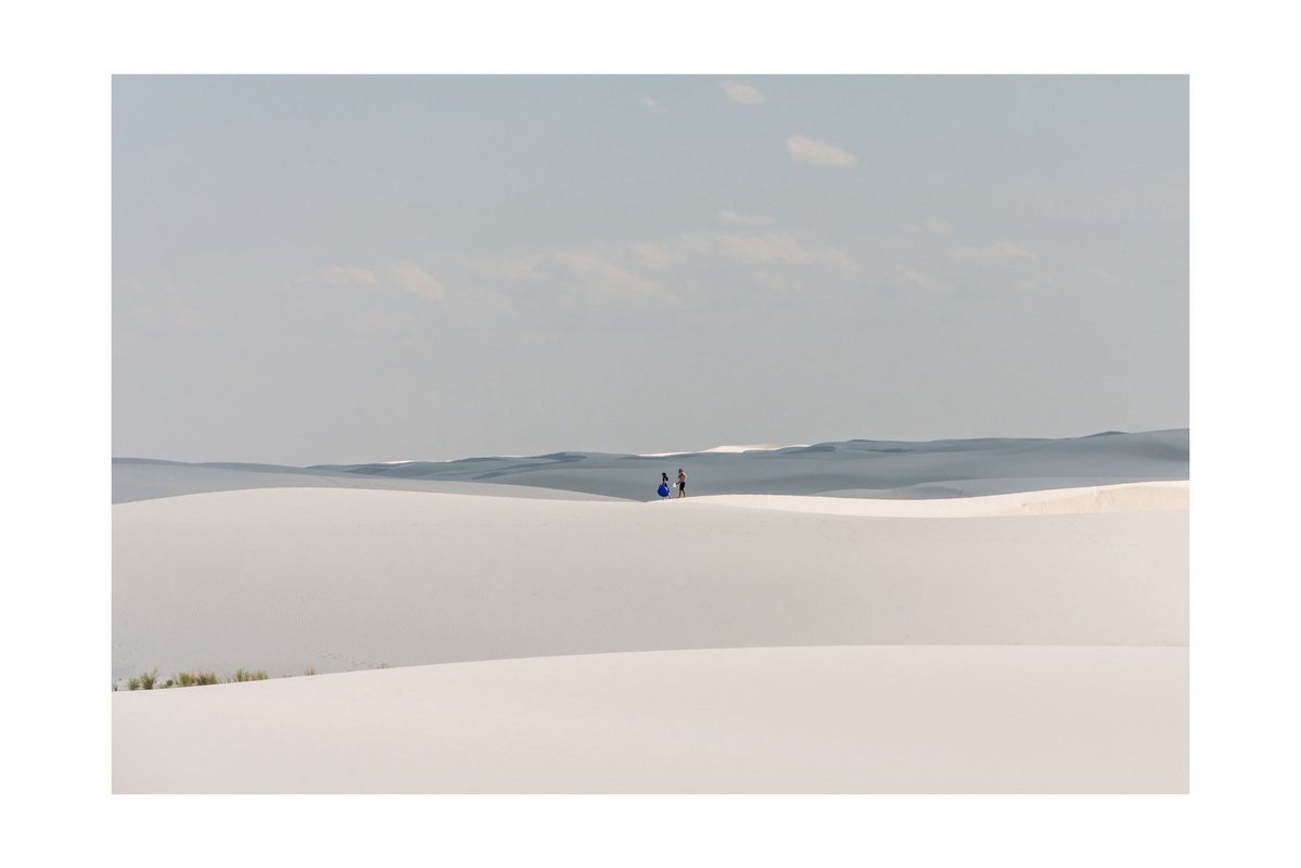 rosstintexas tweet media