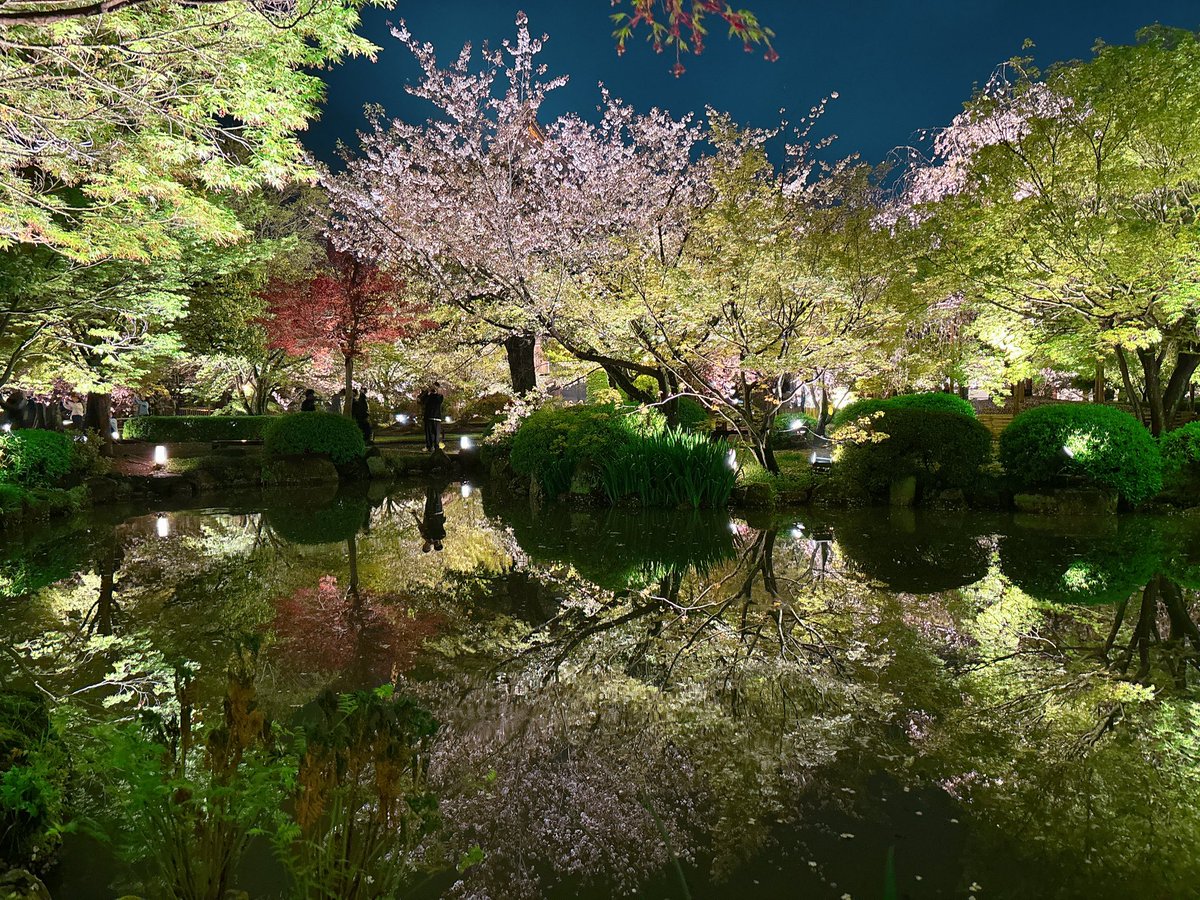 さとる tweet media