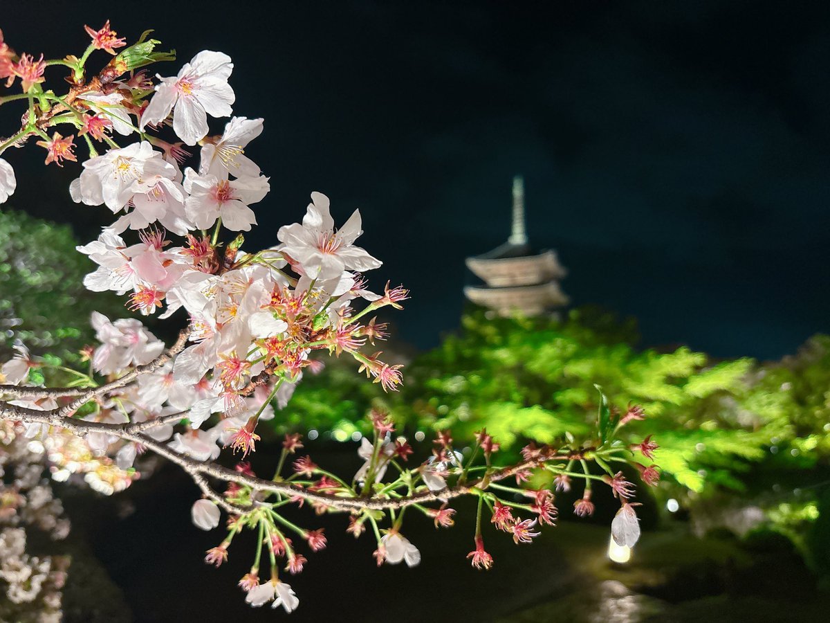 さとる tweet media