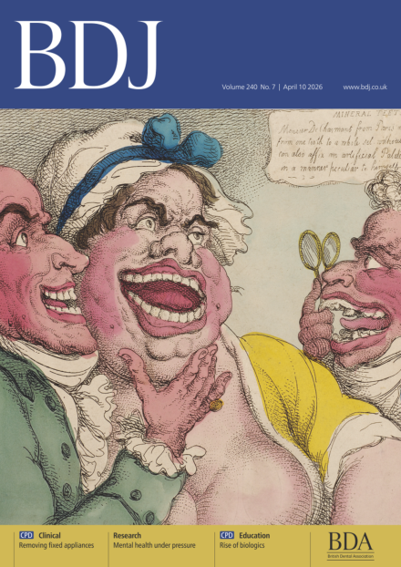 BDJ Portfolio tweet media