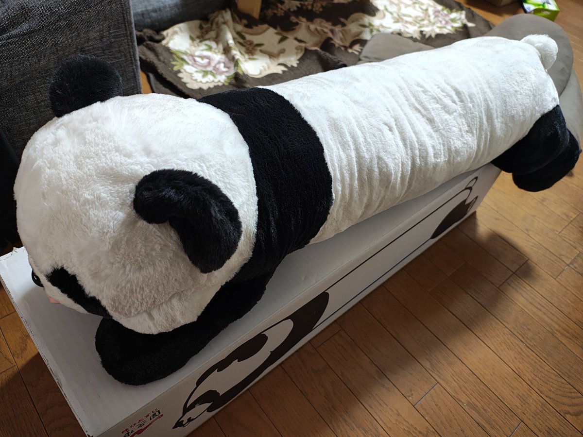 パンダちゃん抱きまくらプレゼントキャンペーン』に当選しました