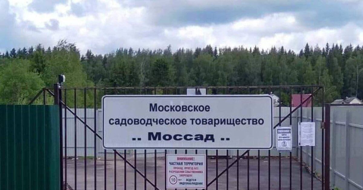 Nikki14620 tweet media