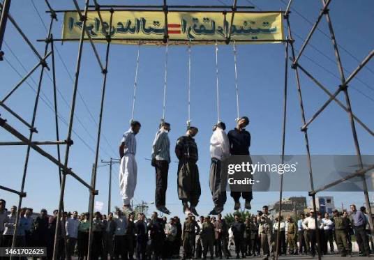 Matt 🌸 Prider tweet media