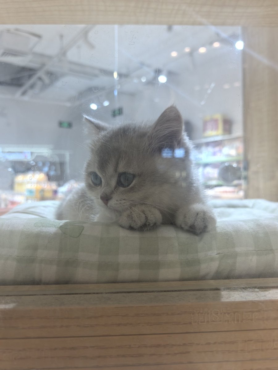 一颗苹果 tweet media