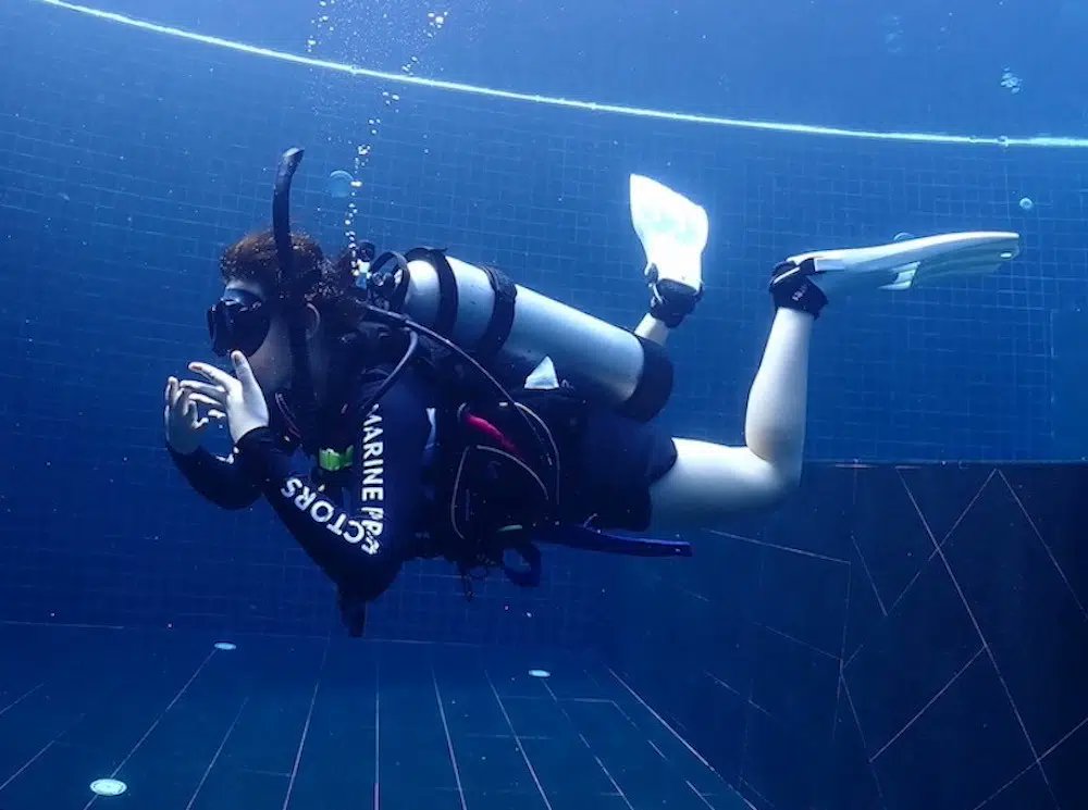 blackturtledive's tweet photo. Koh Tao is the perfect location to complete the PADI Divemaster course. The island has great dive sites, diving all year round, a laidback island vibe within a vibrant social scene. https://t.co/m729vhNlSd #Divemaster #KohTao #Internship #Diving #Career #PADI https://t.co/1chQQ0yLpE