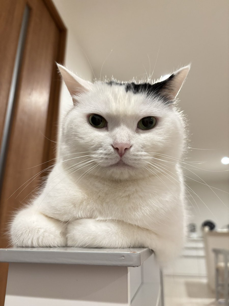 まつもとたける tweet media