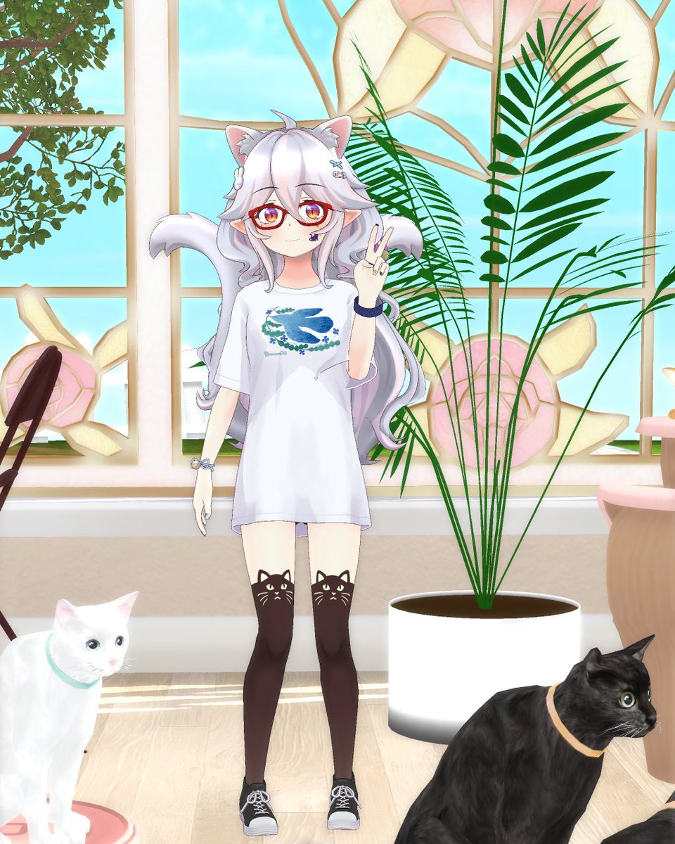 星野 エル tweet media