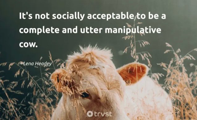 Sixpenny 🙏❤️✌🏻🌎🍻 🇨🇦 🇺🇸 tweet media