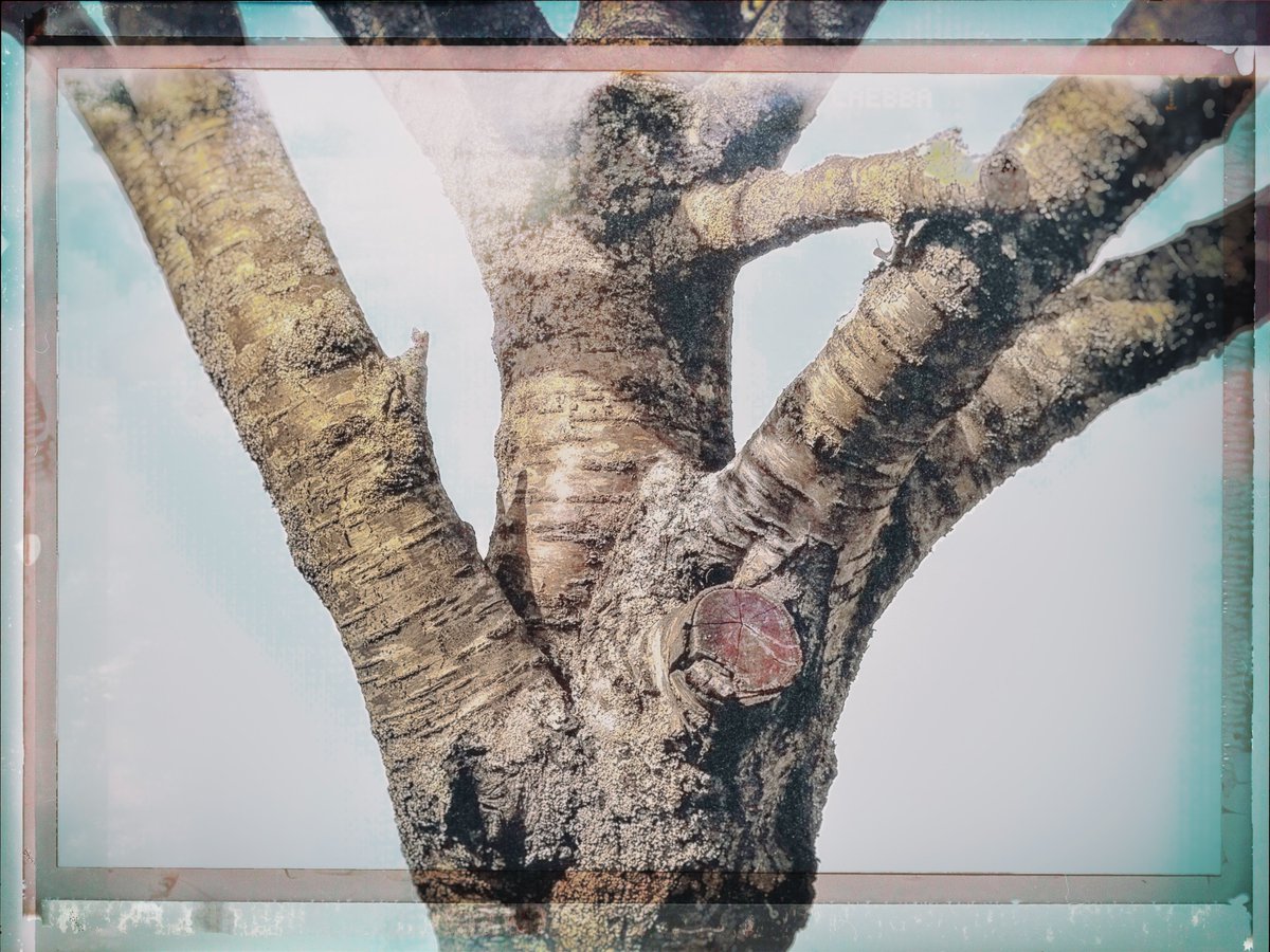 Steve Edwards #The Smoking Photographer tweet media