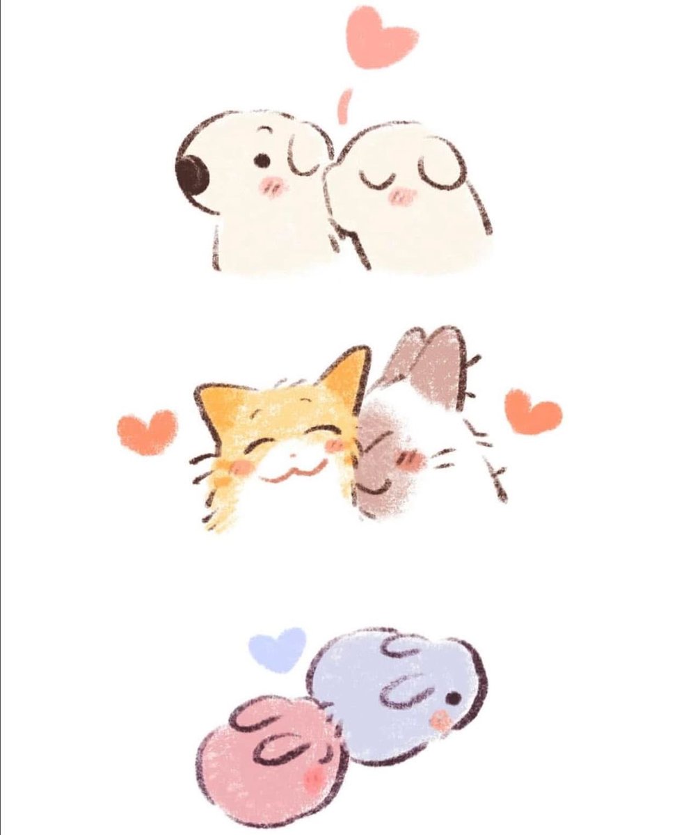 Solithra ☀️ tweet media