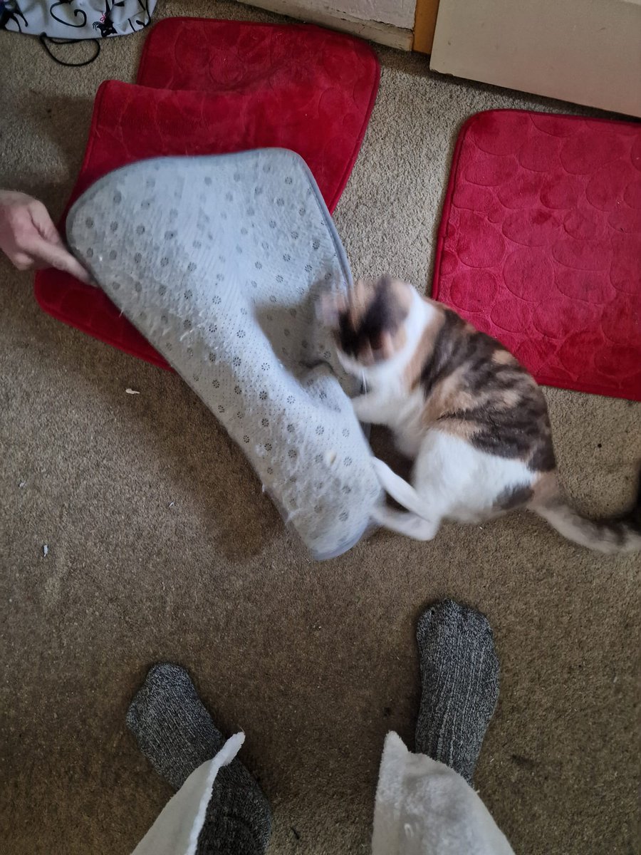 Tom van Dauven tweet media