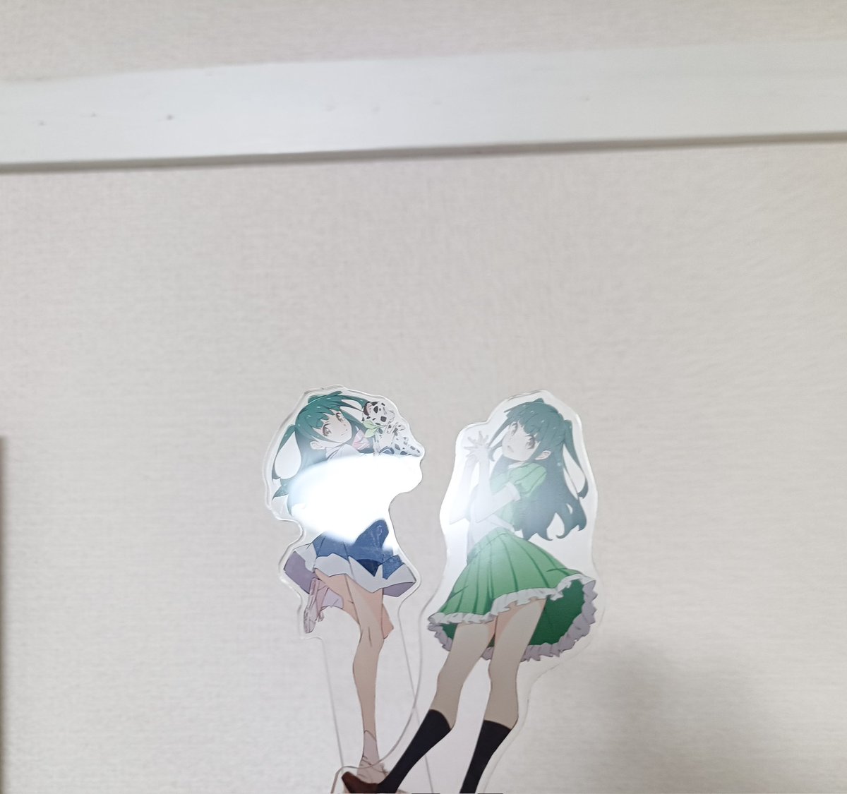 ガイ🌱 tweet media