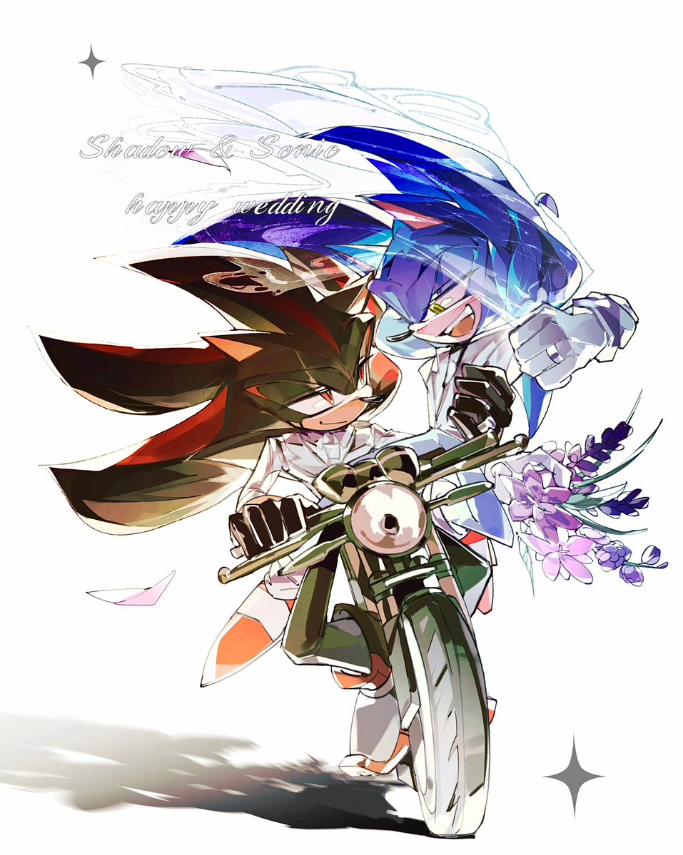 dannnSONIC's tweet image. #Shadonic