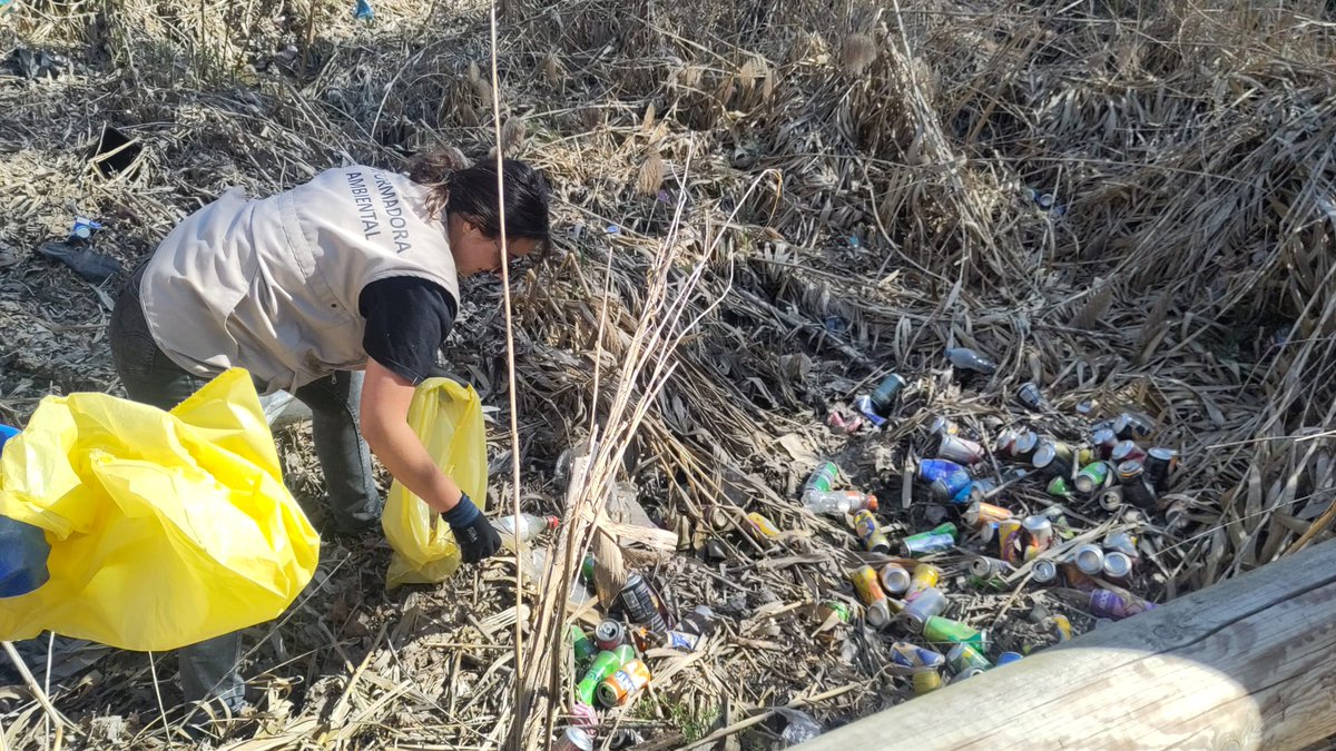 Vic Medi Ambient tweet media