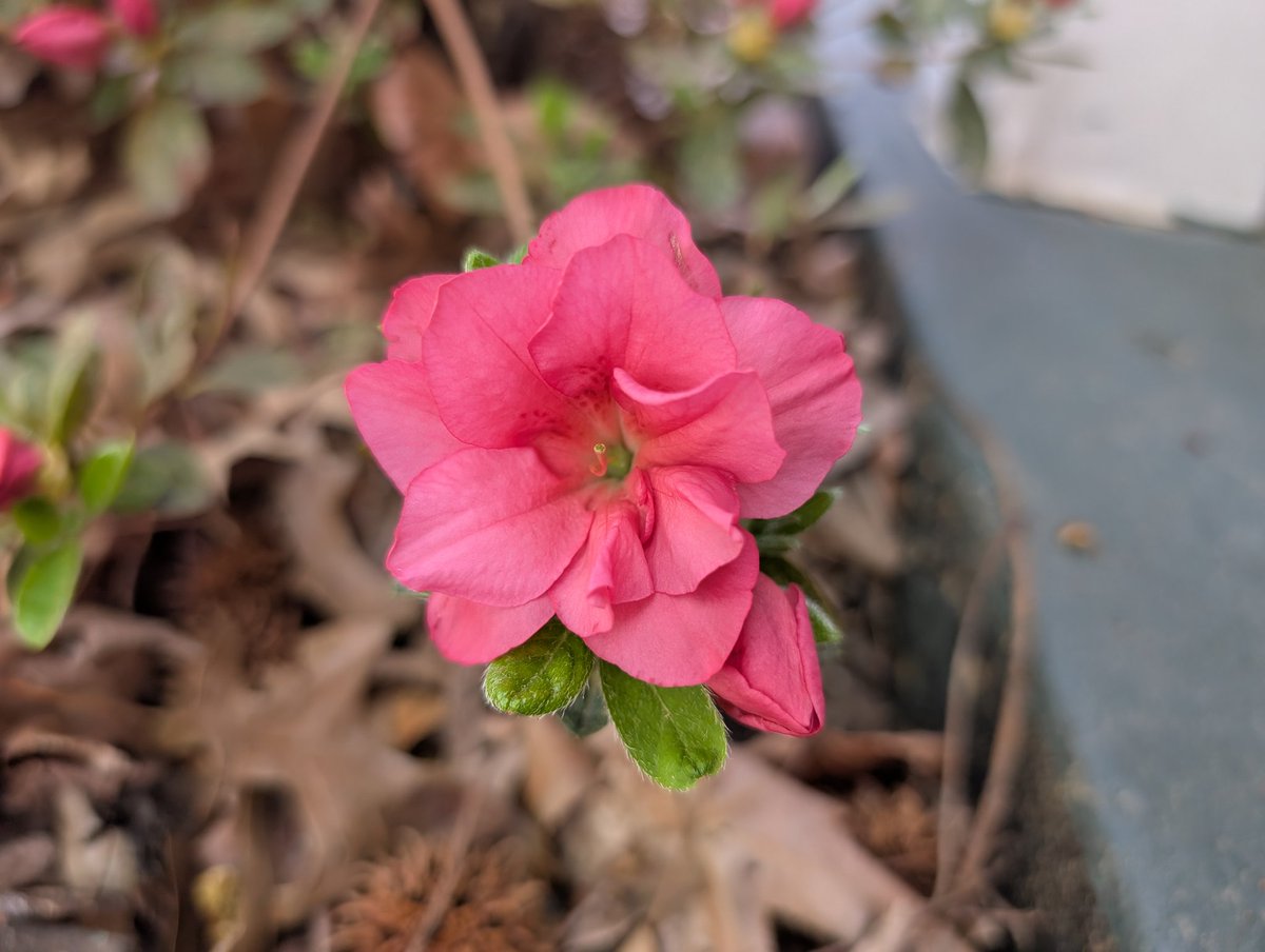 🔋$EOSE DAN🔋 tweet media