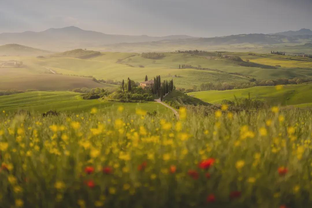 Roasted asparagus dishes.