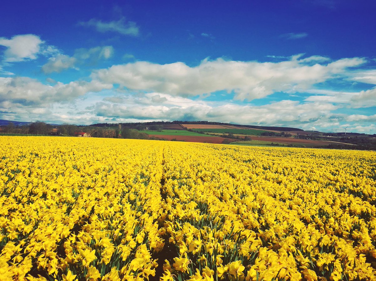 UK Agri-Tech Centre tweet media