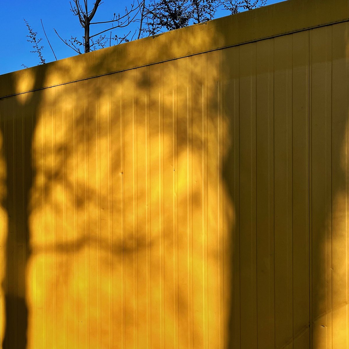 Anila2025's tweet image. #fence   #shadows