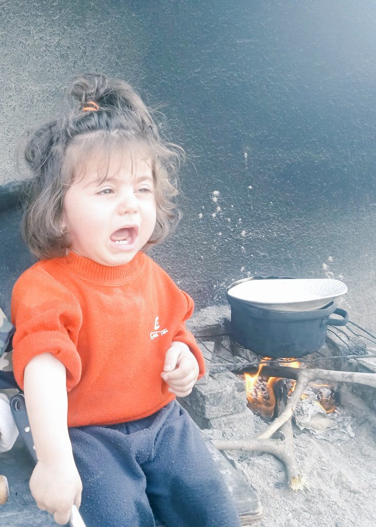 JEHAD | جهہ‏‏آد🇵🇸 tweet media