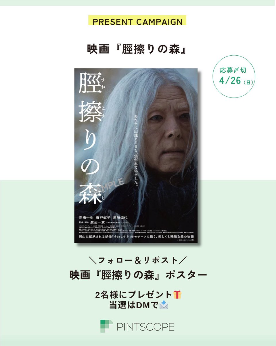 PINTSCOPE|ピントスコープ tweet media