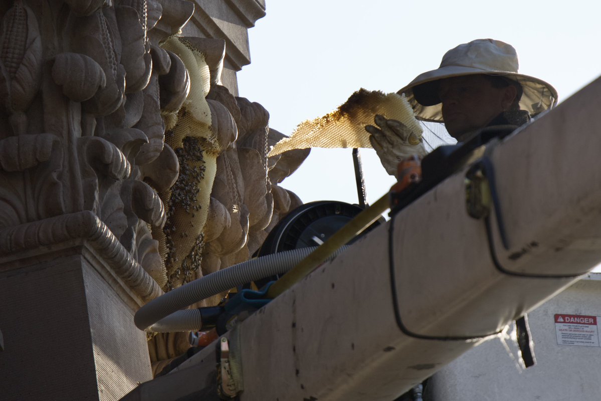 Andrew Leyden tweet media