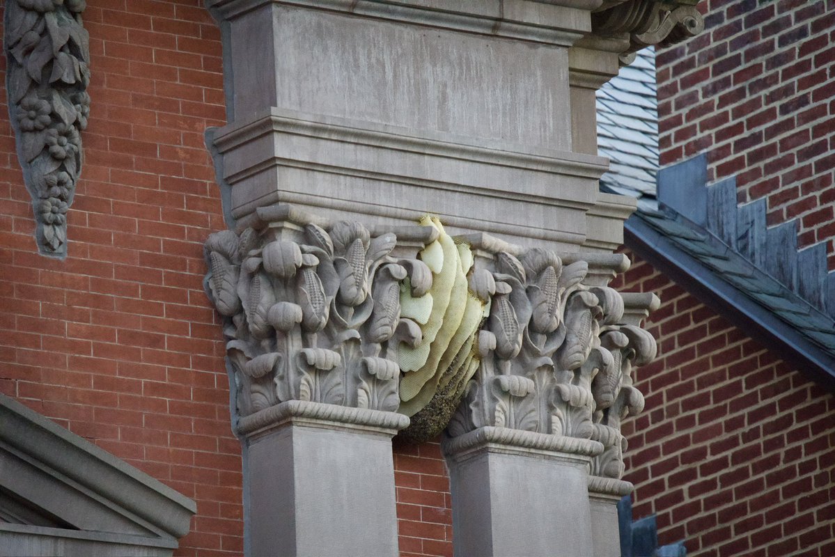 Andrew Leyden tweet media