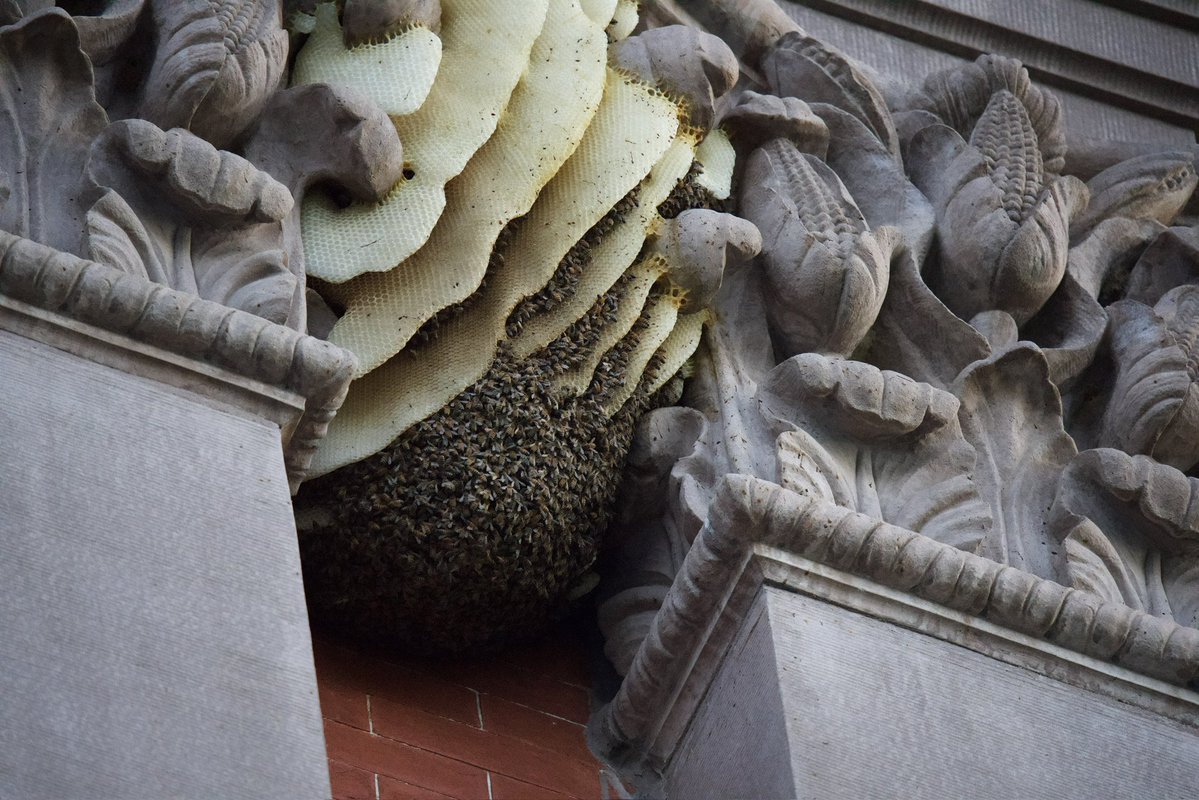 Andrew Leyden tweet media