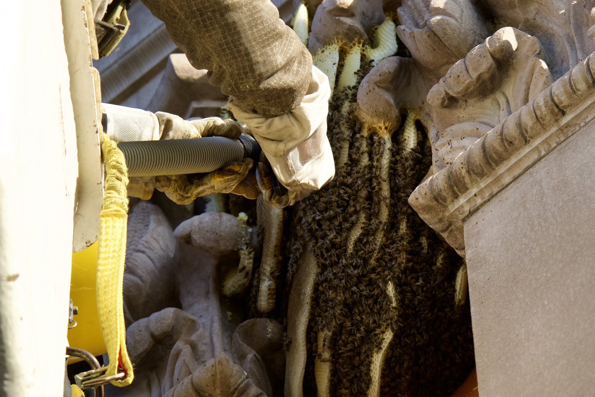 Andrew Leyden tweet media