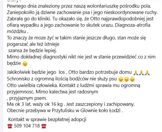 Robwalka Wolf tweet media