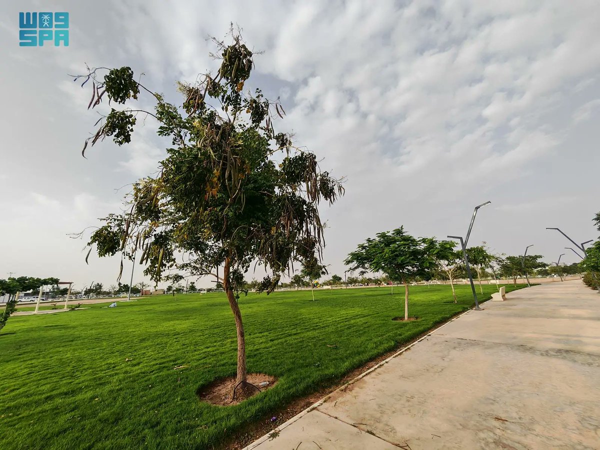واس جودة الحياة tweet media