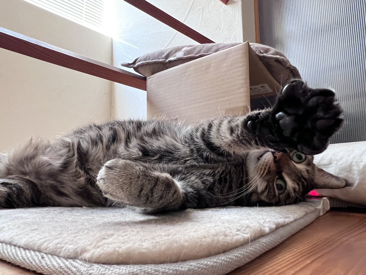 宗方脩 tweet media