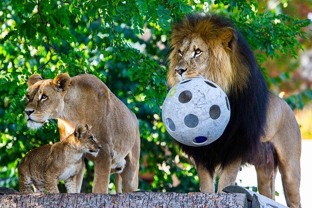 Heather Jackson tweet media