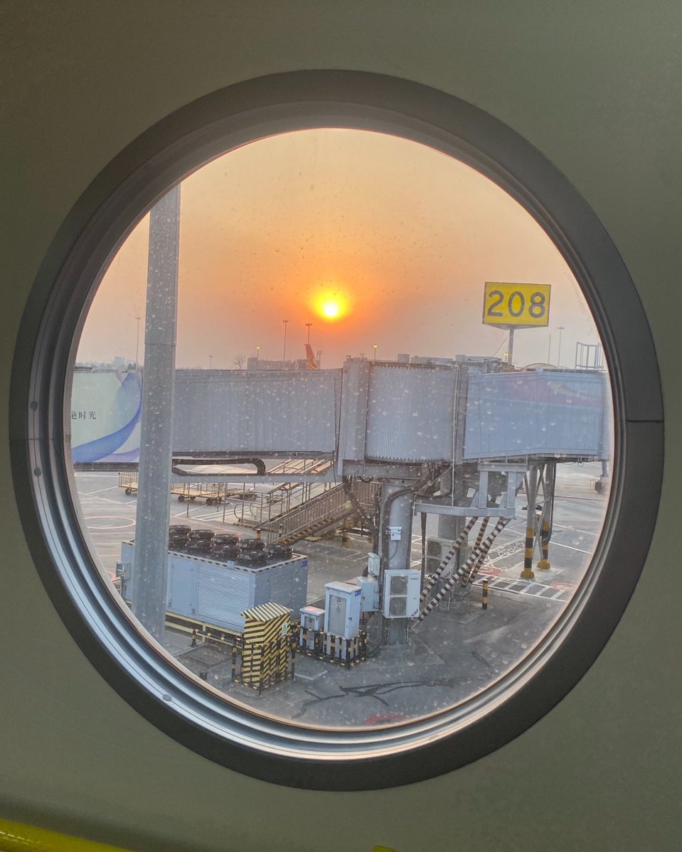 Silly Silky tweet media